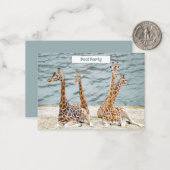 Foto van Giraffe Water Fun - Vier Giraffes Notitiekaartje (Voorkant / Achterkant in situ)