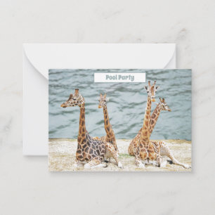 Foto van Giraffe Water Fun - Vier Giraffes Notitiekaartje