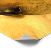 Foto van Golden Retriever Puppy Dog Poster (Hoek)