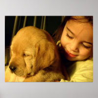 Foto van Golden Retriever Puppy Dog