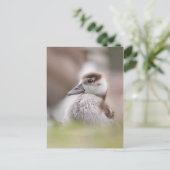 Foto van Goose Chick Natuur Briefkaart (Staand voorkant)