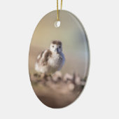 Foto van Goose Chick Natuur Keramisch Ornament (Links)