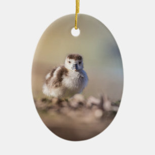 Foto van Goose Chick Natuur Keramisch Ornament