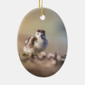 Foto van Goose Chick Natuur Keramisch Ornament (Achterkant)