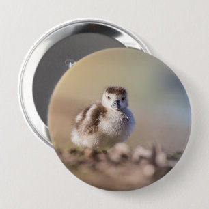 Foto van Goose Chick Natuur Ronde Button 4,0 Cm
