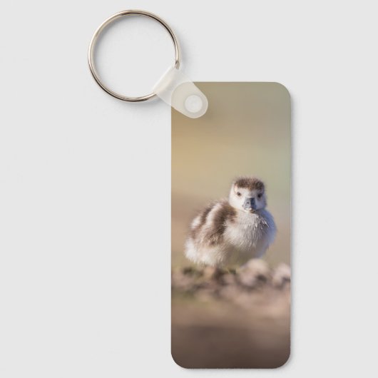 Foto van Goose Chick Natuur Sleutelhanger (Voorkant)
