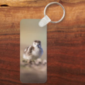 Foto van Goose Chick Natuur Sleutelhanger (Achterkant)