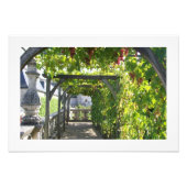 Foto van Grape Arbor op het Paleis van Villandry i Afdruk (Voorkant)