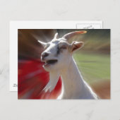 Foto van grappige geit briefkaart (Voorkant / Achterkant)