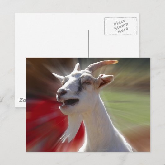 Foto van grappige geit briefkaart (Voorkant / Achterkant)