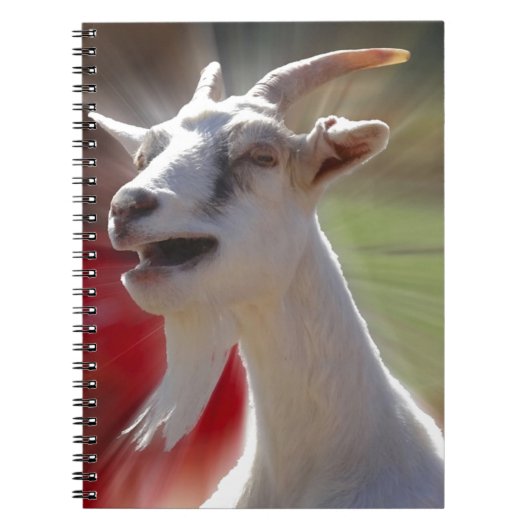 Foto van grappige geit notitieboek (Voorkant)