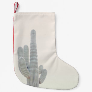 FOTO VAN GRAY CACTUS-PLANT KLEINE KERSTSOK