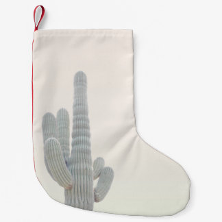FOTO VAN GRAY CACTUS-PLANT KLEINE KERSTSOK
