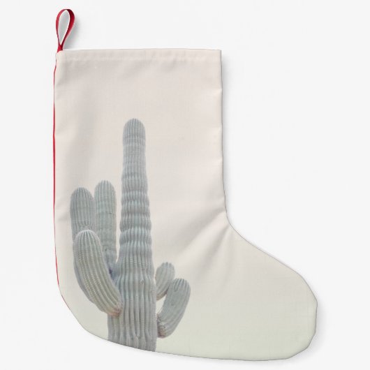 FOTO VAN GRAY CACTUS-PLANT KLEINE KERSTSOK (Voorkant)