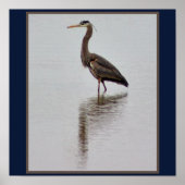 Foto van Great Blue Heron Poster (Voorkant)