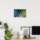 Foto van Great Blue Heron Poster (Thuiskantoor)