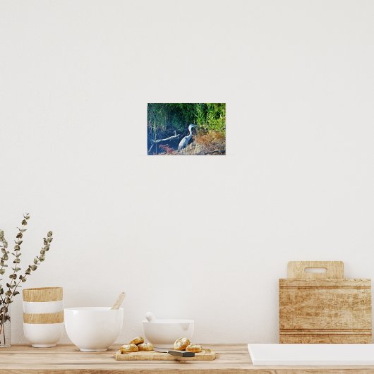 Foto van Great Blue Heron Poster (Keuken)