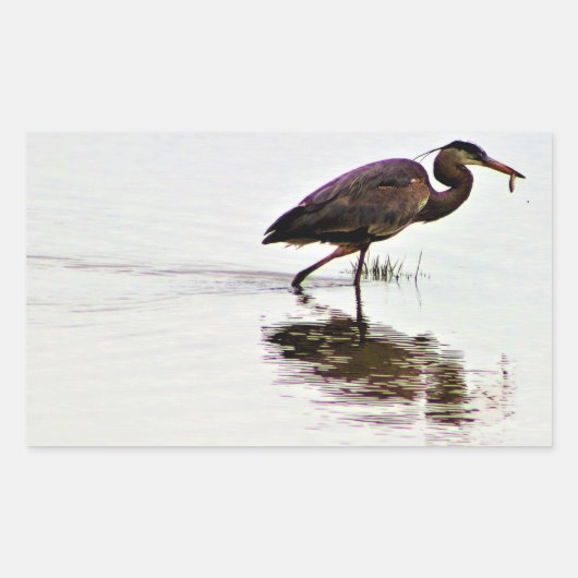 Foto van Great Blue Heron Rechthoekige Sticker (Voorkant)