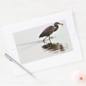 Foto van Great Blue Heron Rechthoekige Sticker (Envelop)