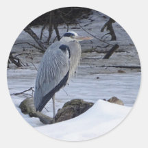 Foto van Great Blue Heron Snow