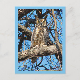 Foto van Great Horned Owl Briefkaart