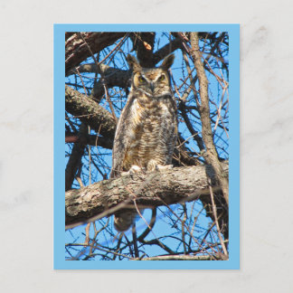 Foto van Great Horned Owl Briefkaart