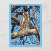 Foto van Great Horned Owl Briefkaart (Voorkant)