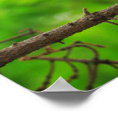 Foto van Great Horned Owl Poster (Hoek)