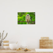 Foto van Great Horned Owl Poster (Keuken)
