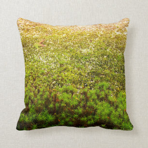 Foto van Green Haircap Moss Kussen