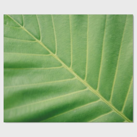 Foto van groen blad sluiten cadeaupapier (Vlak)