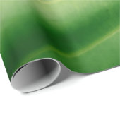 Foto van groen blad sluiten cadeaupapier (Rol Hoek)