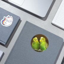 Foto van groene en gele paraketten