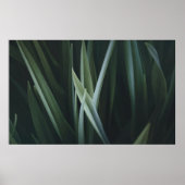 Foto van groene lineaire bladeren sluiten poster (Voorkant)