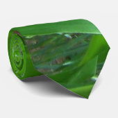 Foto van groene maisstelen/bladeren stropdas (Opgerold)