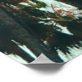 Foto van groene palmbomen poster (Hoek)