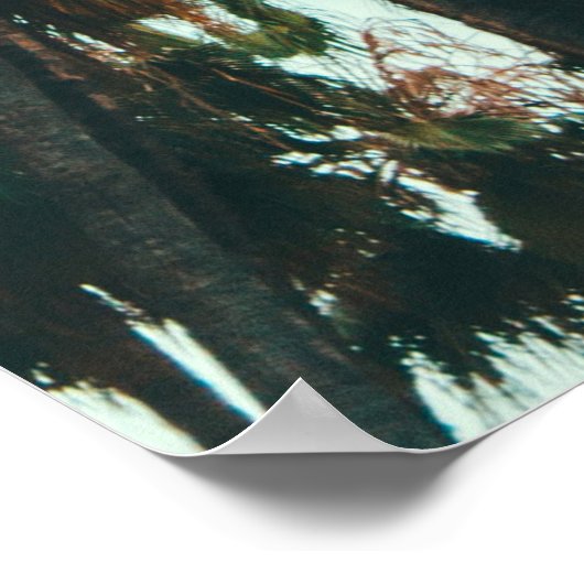 Foto van groene palmbomen poster (Hoek)