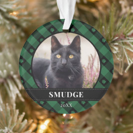 Foto van groene speldeverf ornament