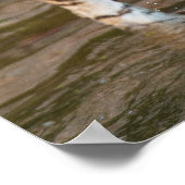 Foto van groot tijger poster (Hoek)