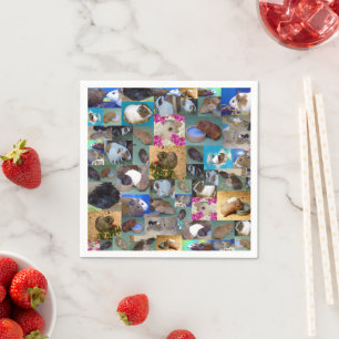 Foto van Guinee, collage; Servet