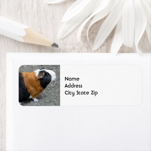 Foto van Guinee Etiket (Insitu)