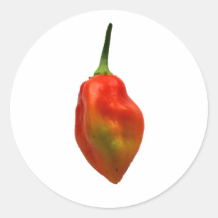 Foto van Habernero met enkele pepper Ronde Sticker
