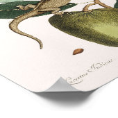 foto van hagedis poster (Hoek)