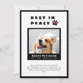 Foto van hartsdraf rust in vredespakket verloren f aankondiging (Voorkant)