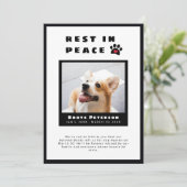 Foto van hartsdraf rust in vredespakket verloren f aankondiging (Staand voorkant)