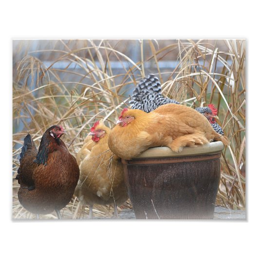 Foto van Hen Party Afdruk (Voorkant)