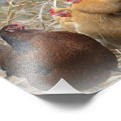 Foto van Hen Party Afdruk (Hoek)