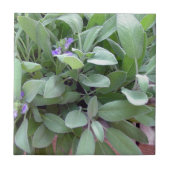 Foto van Herb collectie-sage Tegeltje (Voorkant)