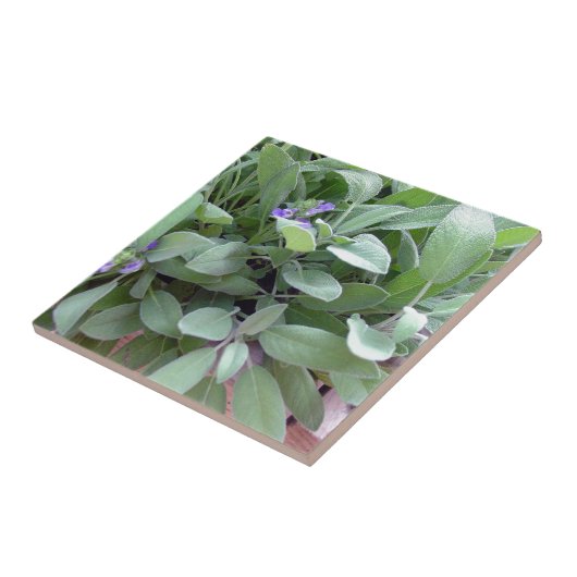 Foto van Herb collectie-sage Tegeltje (Zijkant)