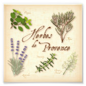 Foto van Herbes de Provence Afdruk (Voorkant)